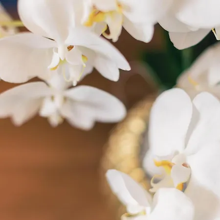 ＆ レストラン ローズ 3* ビーティッヒハイム・ビッシンゲン