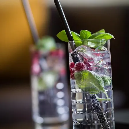 & Restaurant Rose Hotel 3*