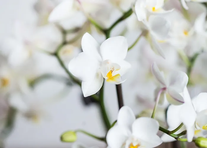 & Restaurant Rose Bietigheim-Bissingen